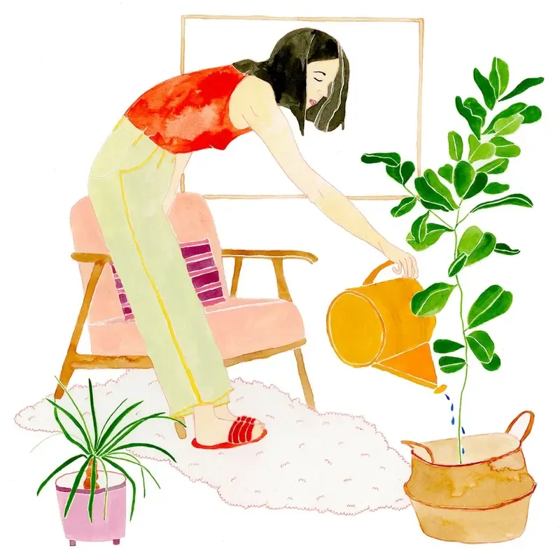 Person watering plant